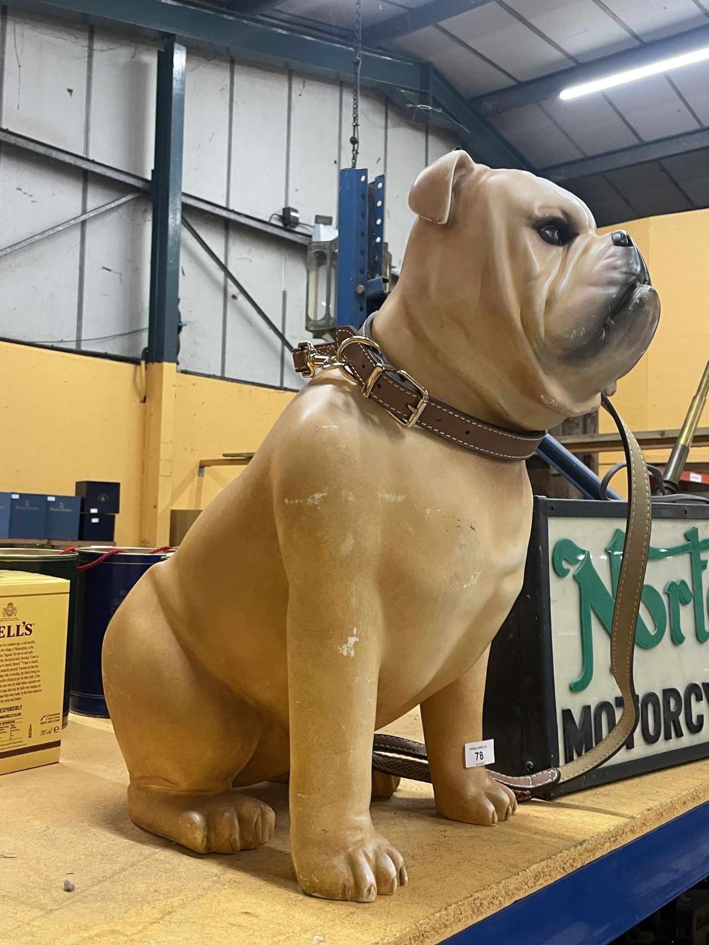 A VERY LARGE BULLDOG FIGURE WITH LEAD AND COLLAR 27" X 23"