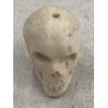 A BONE SMALL SKULL MODEL