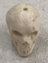 A BONE SMALL SKULL MODEL