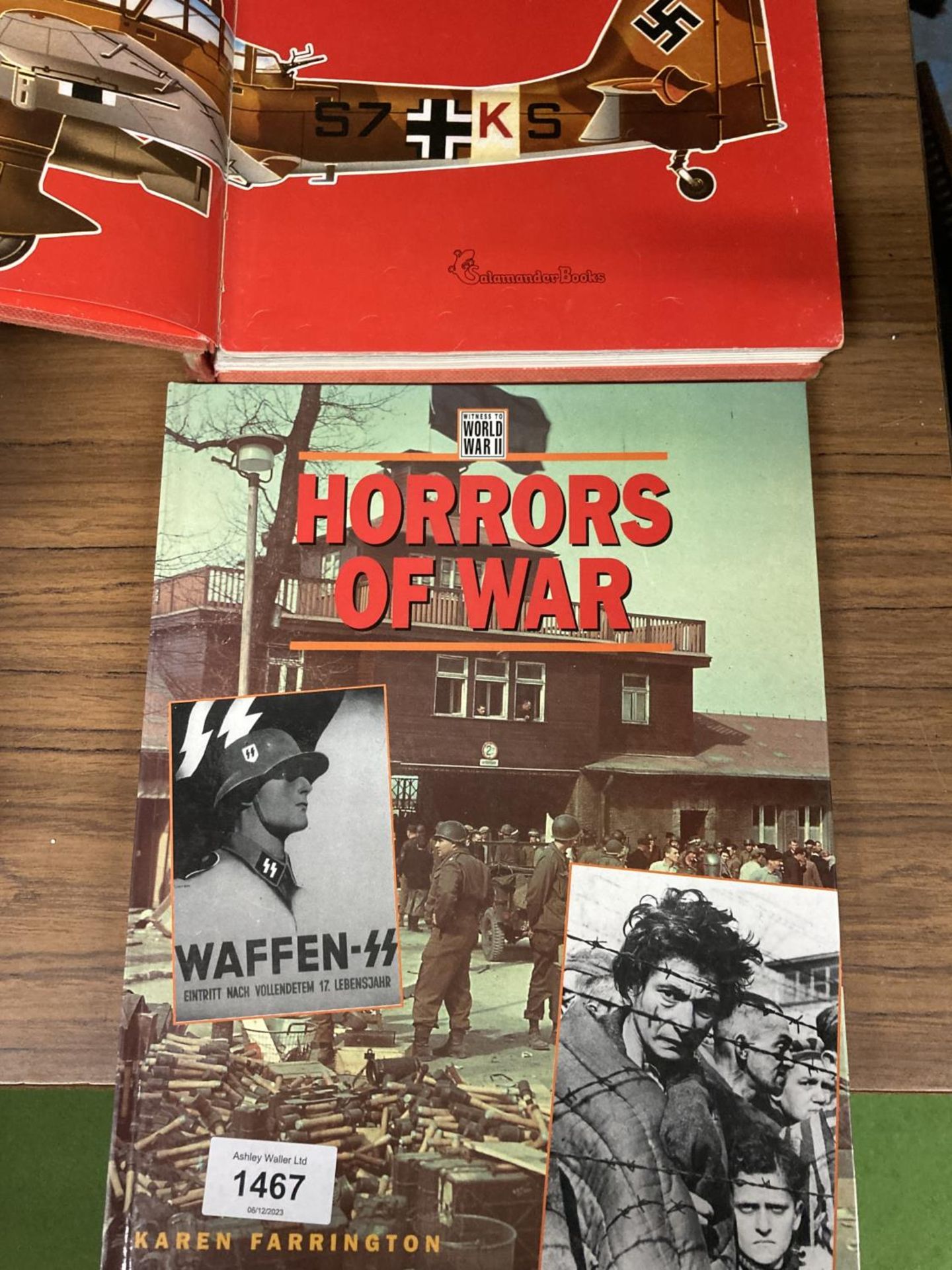 A WAFFEN HORRROS OF WAR WORLD WAR II BOOK AND HITLERS LUFTWAFFE BOOK - Image 3 of 3