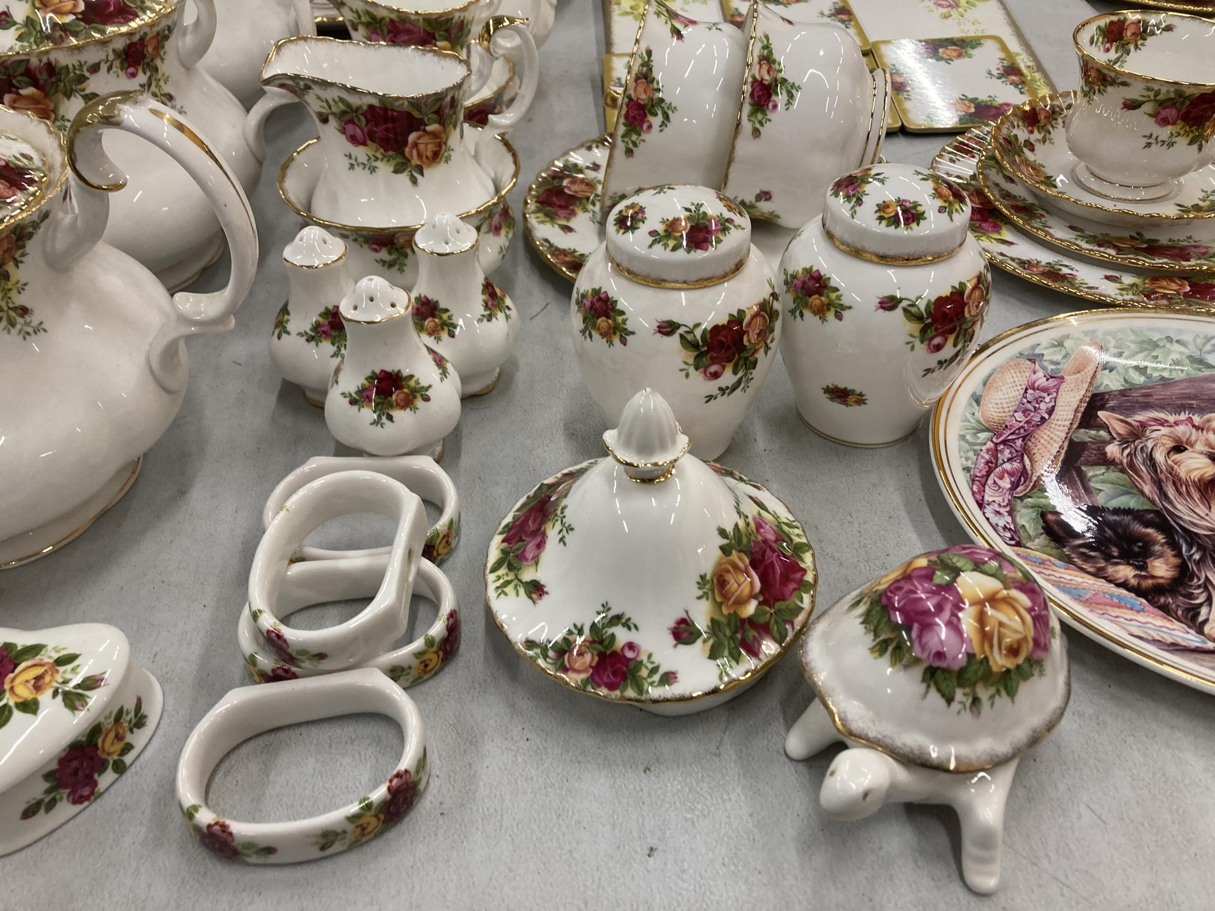 A LARGE QUANTITY OF ROYAL ALERT TO INCLUDE THREE LARGE OLD COUNTRY ROSES TEAPOTS, CENTENNIAL ROSE - Image 11 of 16