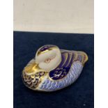 A ROYAL CROWN DERBY DUCK WITH GOLD COLOURED STOPPER