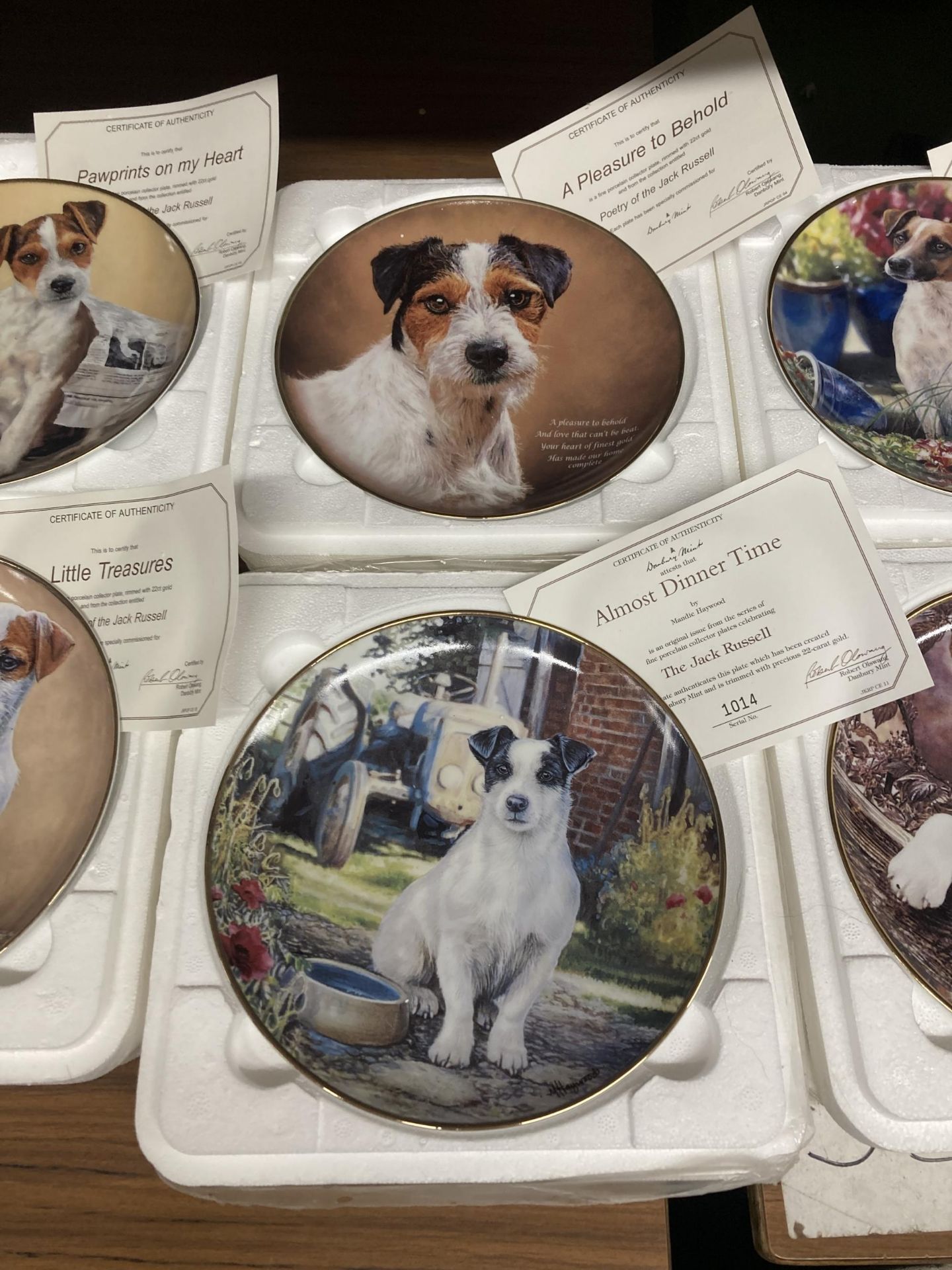 A COLLECTION OF DANBURY MINT, JACK RUSSELL THEMED CABINET PLATES WITH CERTIFICATES - 14 IN TOTAL - Image 4 of 7