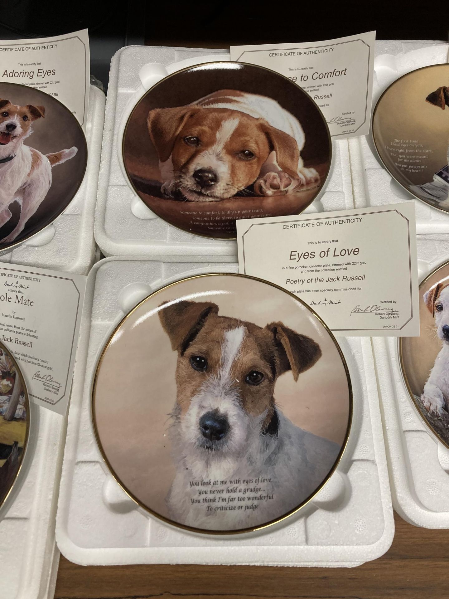 A COLLECTION OF DANBURY MINT, JACK RUSSELL THEMED CABINET PLATES WITH CERTIFICATES - 14 IN TOTAL - Image 3 of 7