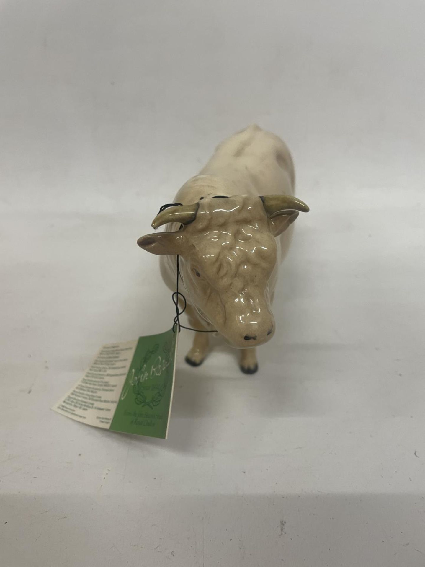 A BESWICK CHAROLAIS BULL - Image 2 of 4