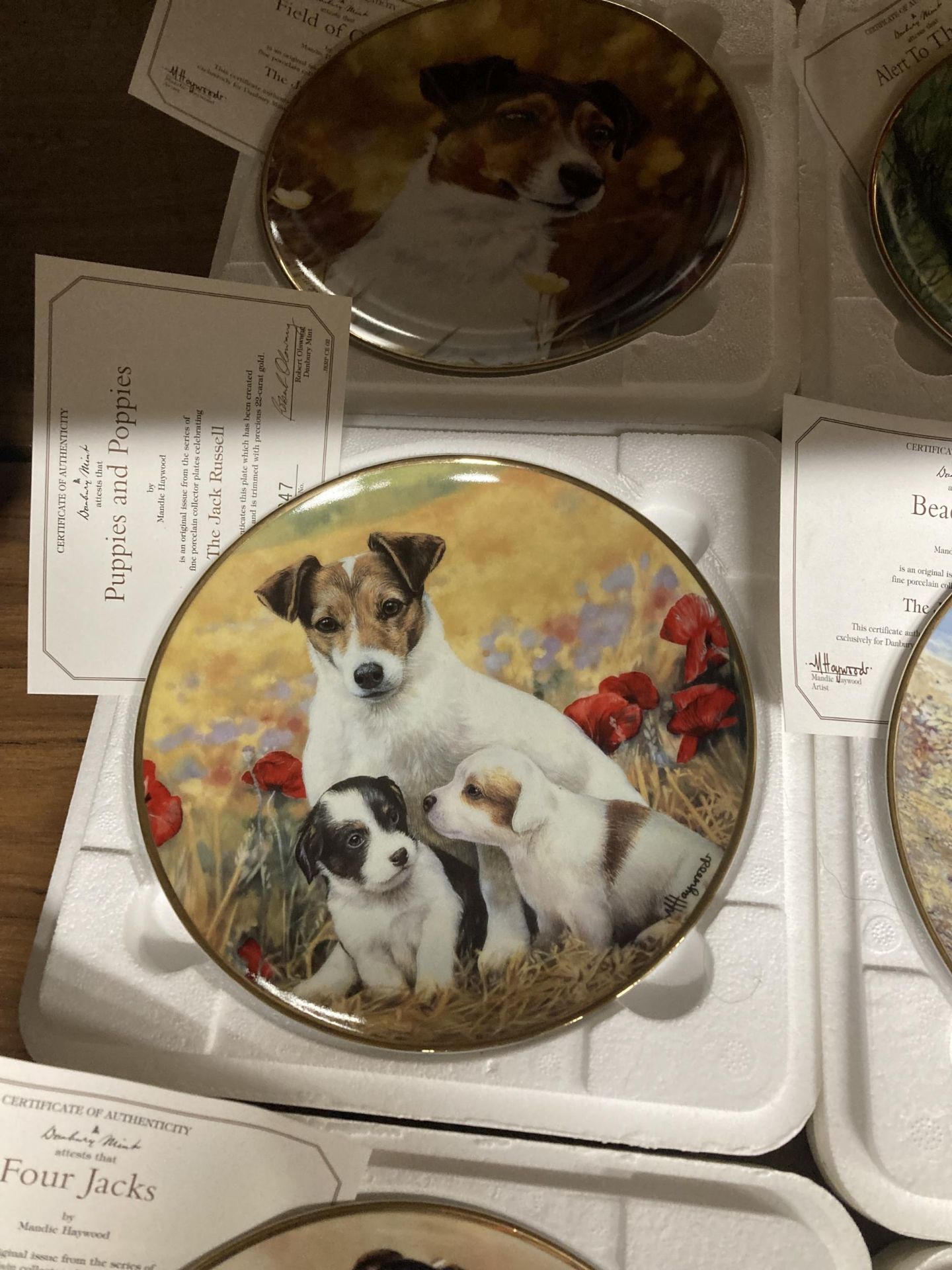 SIX DANBURY MINT, JACK RUSSELL THEMED CABINET PLATES WITH CERTIFICATES - Image 4 of 8