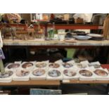 A COLLECTION OF DANBURY MINT, JACK RUSSELL THEMED CABINET PLATES WITH CERTIFICATES - 14 IN TOTAL