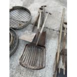 AN ASSORTMENT OF VINTAGE TOOLS TO INCLUDE POTATO SHOVELS AND A SPADE ETC