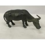 A BRONZE FIGURE OF A WATER BUFFALO