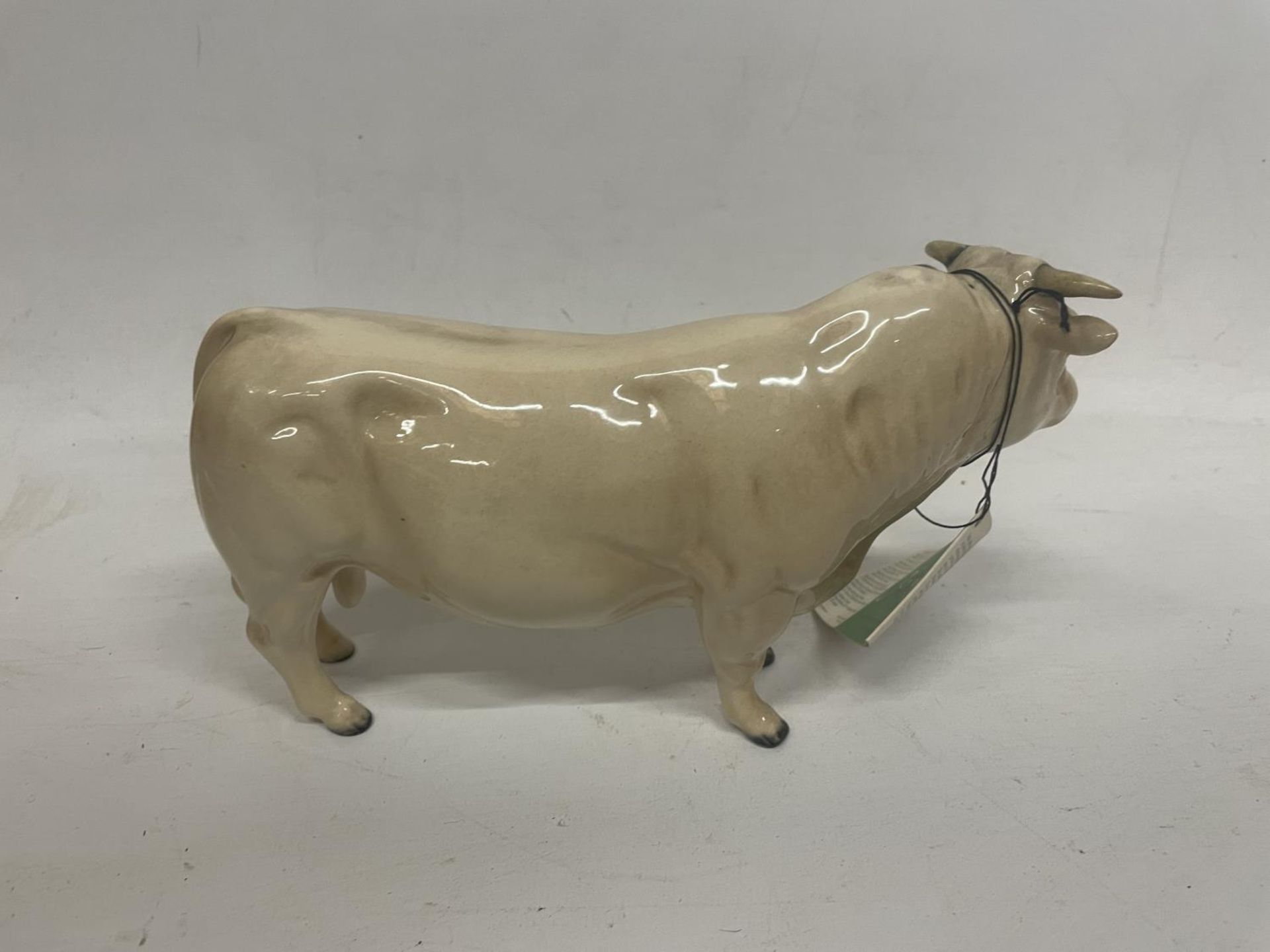 A BESWICK CHAROLAIS BULL - Image 3 of 4