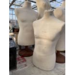 TWO TORSO MANEQUINS ONE WITH A STAND