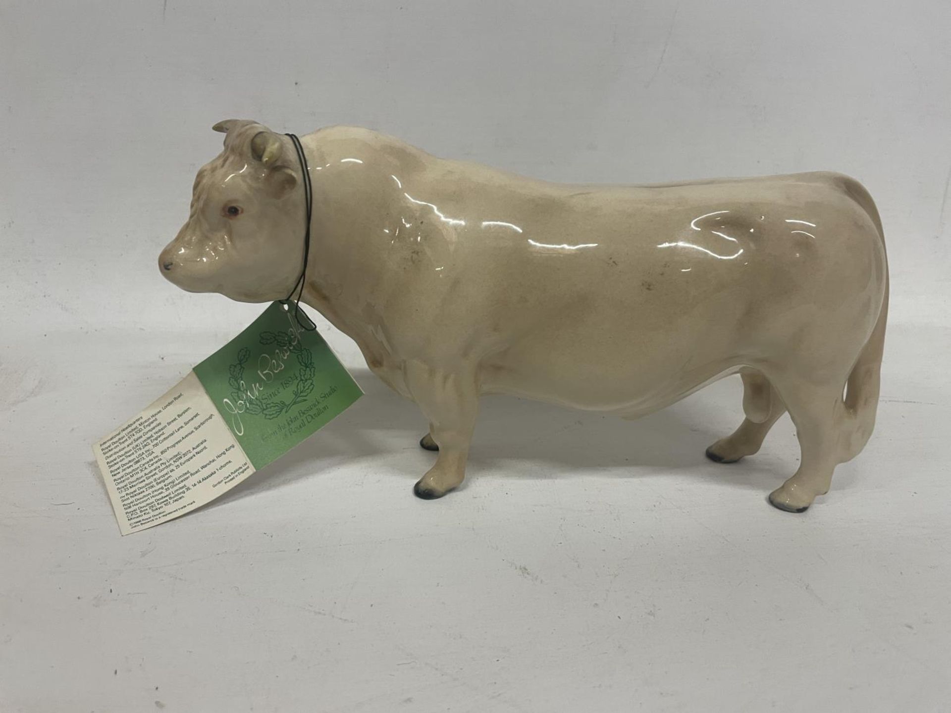 A BESWICK CHAROLAIS BULL