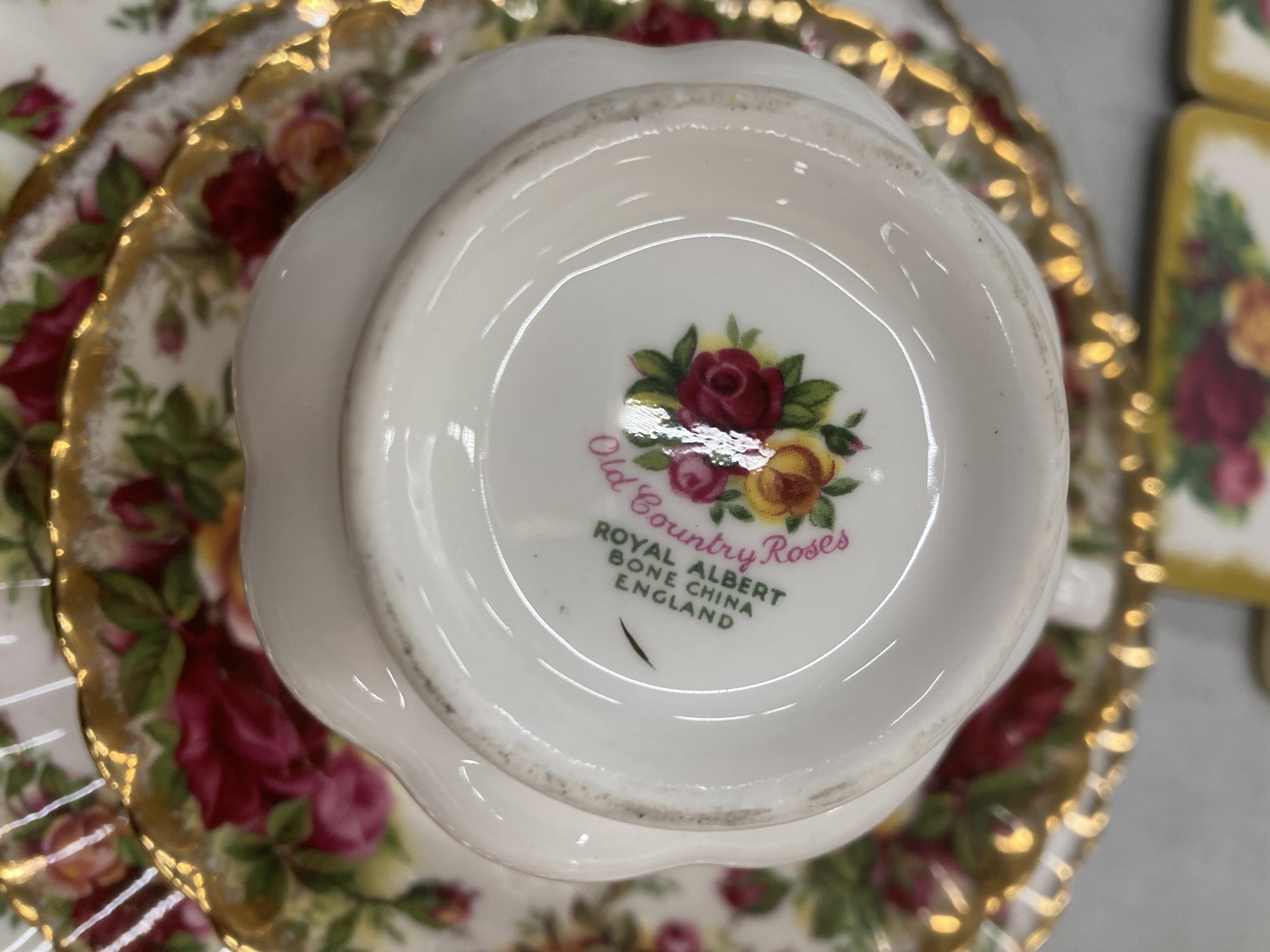 A LARGE QUANTITY OF ROYAL ALERT TO INCLUDE THREE LARGE OLD COUNTRY ROSES TEAPOTS, CENTENNIAL ROSE - Image 10 of 16