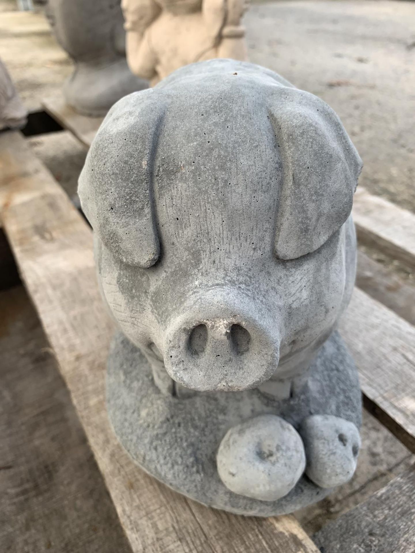 A CONCRETE BUTCHER'S PIG ORNAMENT NO VAT - Image 2 of 3