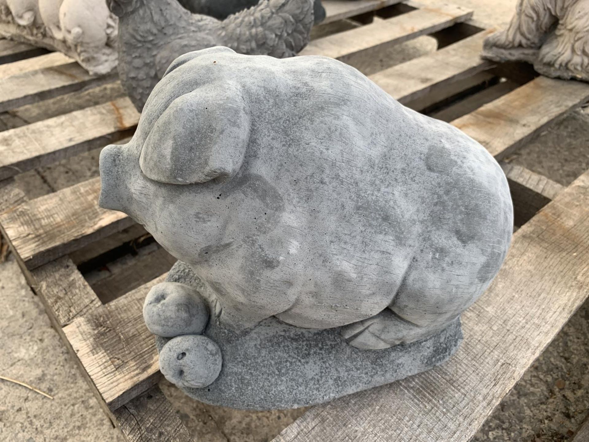 A CONCRETE BUTCHER'S PIG ORNAMENT NO VAT