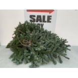 A BUNDLE OF WREATH MAKING FIR + VAT