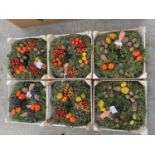 SIX WINTER LIVING WREATHS IN A PRESENTATION CRATE + VAT TO BE SOLD FOR THE SIX