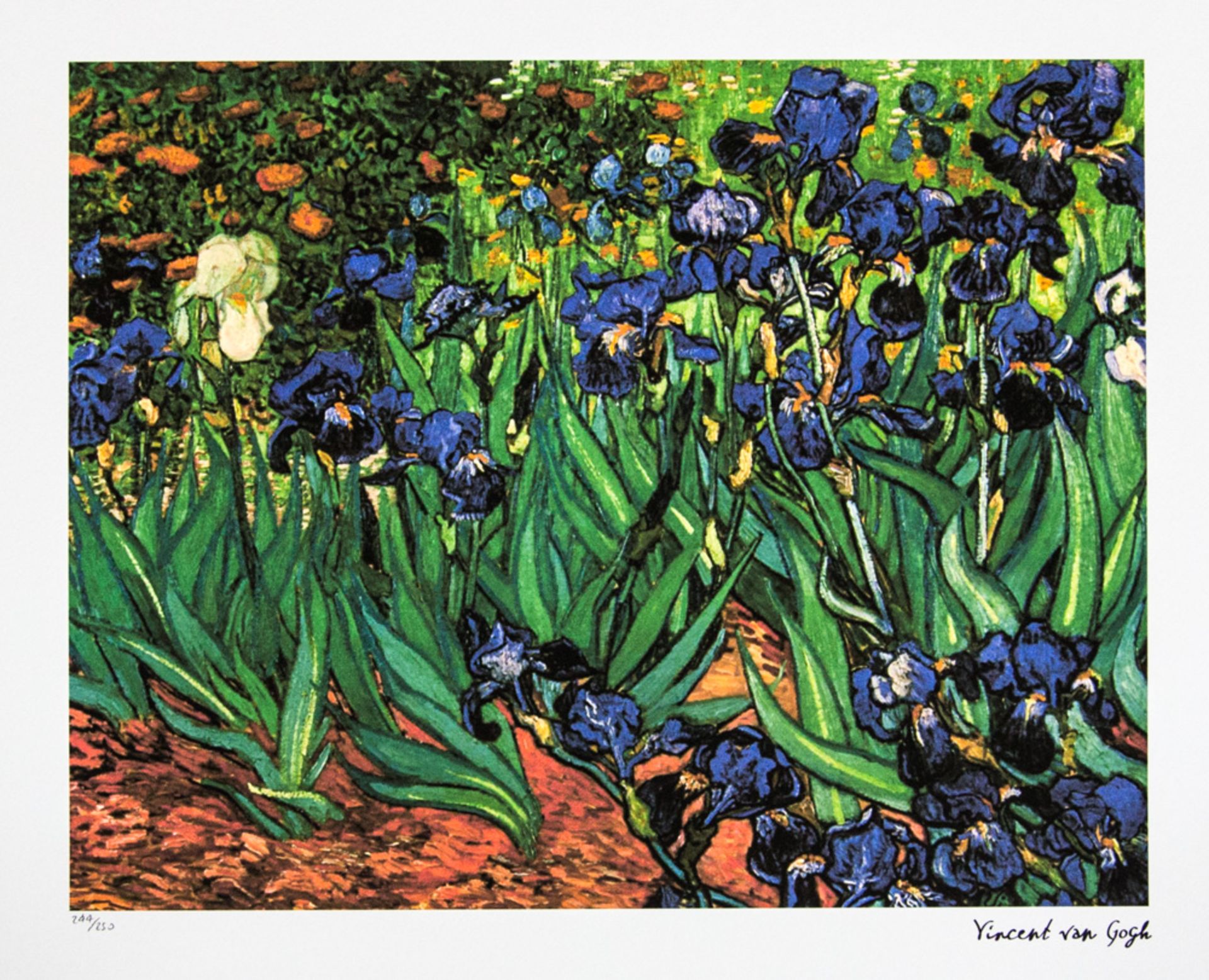 Vincent van Gogh 'Irises'