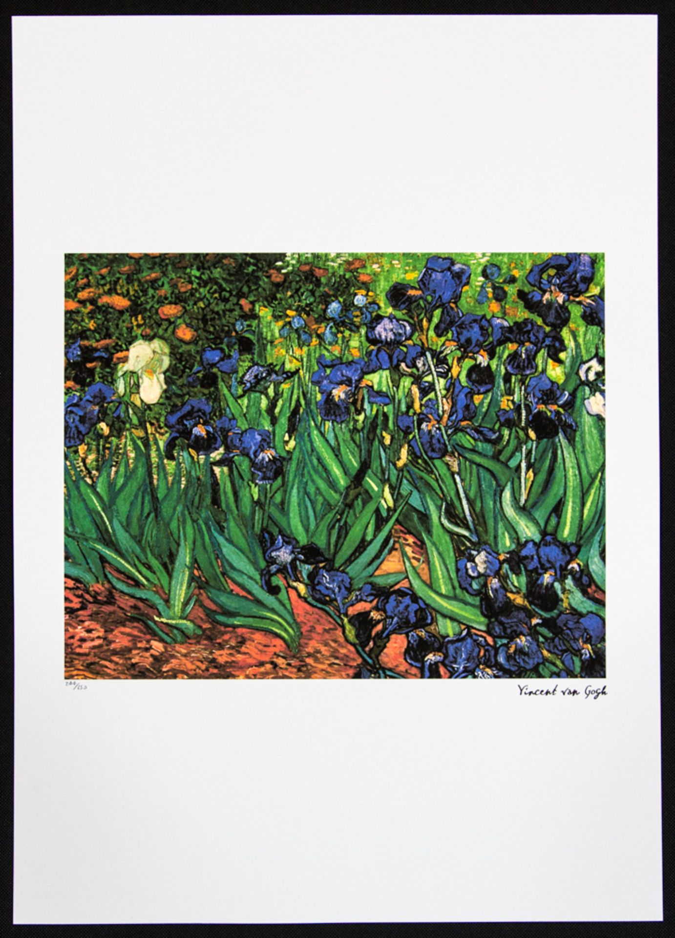 Vincent van Gogh 'Irises' - Image 2 of 5
