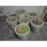 Six Heritage Garden green ceramic garden pots (one A/F)along with another similarly coloured