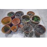 A collection of weathered terracotta pots (four have cracks - A/F)