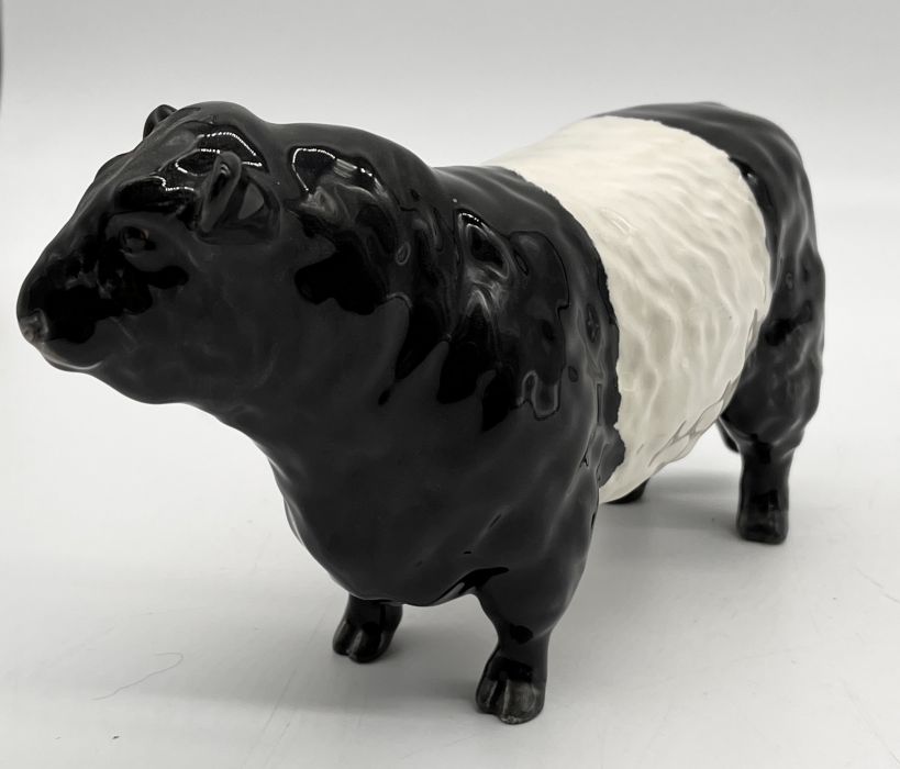 A Beswick Belted Galloway bull in black and white gloss - height 12cm - Image 3 of 6