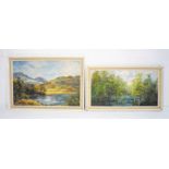 Two framed oil paintings on board depicting landscape scenes, signed 'J. Clarke'.