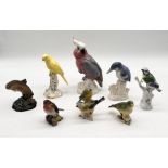 A collection of ceramic birds etc including Beswick, Royal Worcester, Meissen A/F etc.