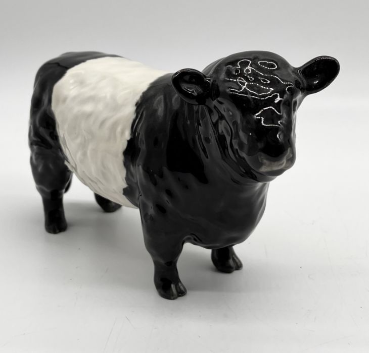 A Beswick Belted Galloway bull in black and white gloss - height 12cm - Image 2 of 6