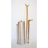 A collection of walking sticks including two silver mounted examples