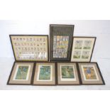 A quantity of framed cricket related pictures, including Wills and Players cigarette cards, four