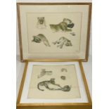 Two limited edition Joy Adamson prints showing lions and cheetahs numbered 165/500 and 20/500