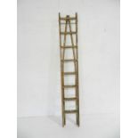A vintage wooden decorators ladder with tapered end