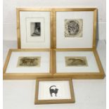 A collection of various framed prints, engravings etc on the subject of cats including limited