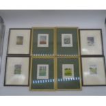 Eight framed limited edition prints by Mary George. Daisy Bank 6/100, Poppyfield 9/100, Bluebell