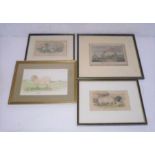 Three framed antique prints of the "The black faced heath breed", "Sow of the large English