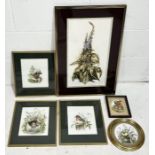 A collection of framed paintings by Irene Brierton on the subject of garden birds, animals etc.