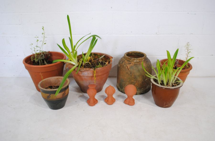 A quantity of terracotta garden pots along with a rhubarb forcer A/F