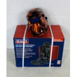 A boxed/sealed Sealey 100amp Professional No-Gas MIG Welder, along with Auto-Darkening Welding