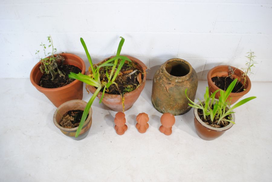A quantity of terracotta garden pots along with a rhubarb forcer A/F - Image 2 of 5