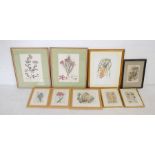 A quantity of framed lithographs and prints of flowers and birds