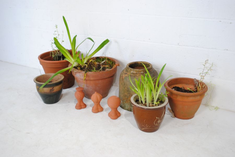 A quantity of terracotta garden pots along with a rhubarb forcer A/F - Image 4 of 5