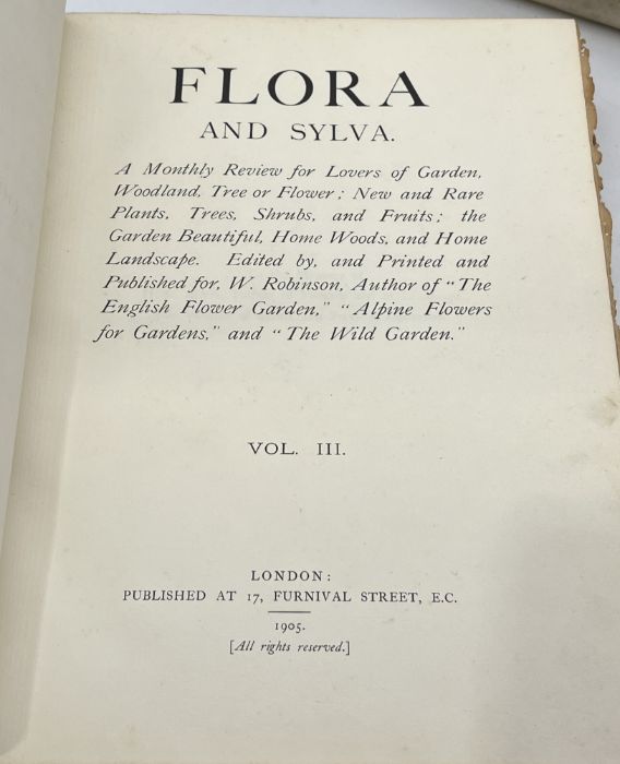 Robinson (William) Editor, Flora and Sylva, 3 volumes, London, 1903-05, 66 colour plates, top - Bild 4 aus 11