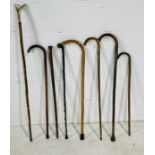 A collection of various wooden walking sticks, two silver mounted