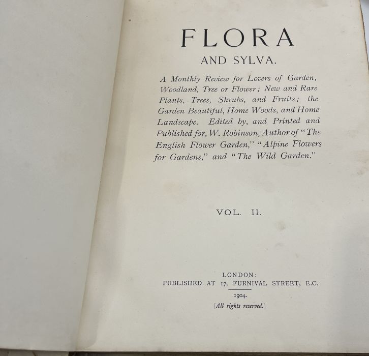 Robinson (William) Editor, Flora and Sylva, 3 volumes, London, 1903-05, 66 colour plates, top - Bild 8 aus 11