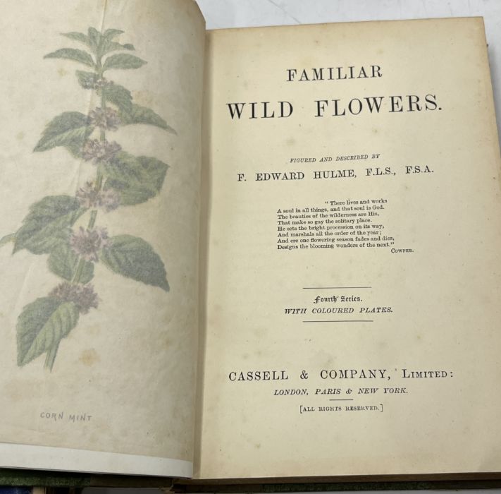 A collection of books on natural history including: British Wild Flowers by J.E. Sowerby pub. - Image 7 of 16