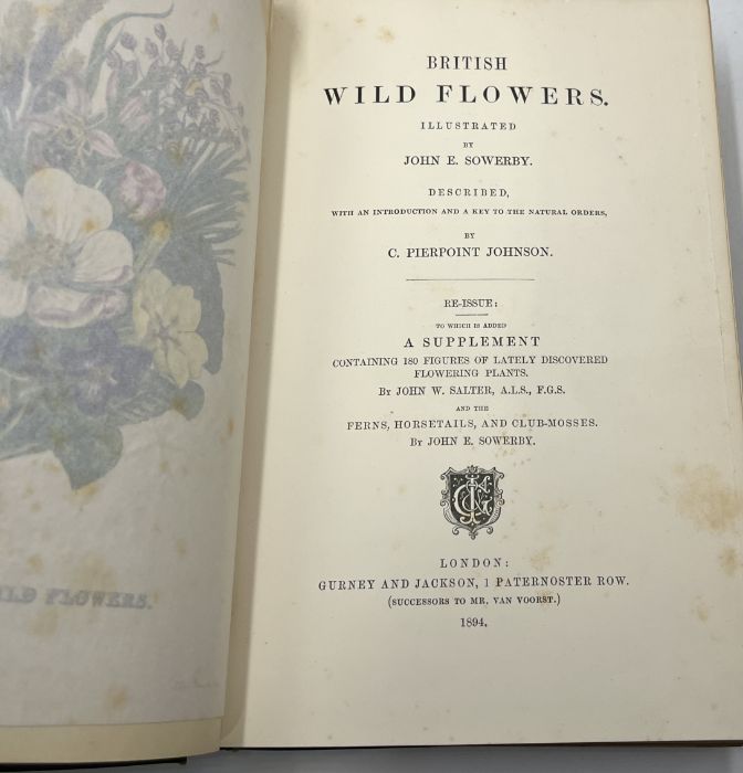 A collection of books on natural history including: British Wild Flowers by J.E. Sowerby pub. - Image 9 of 16