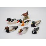 A collection of Beswick Peter Scott ducks and a wren. Some A/F - Goosander, Wigeon and Mallard