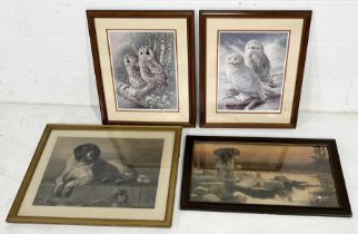 Two Franklin Gallery signed prints of owls by Raymond Watson along with a print of a Newfoundland