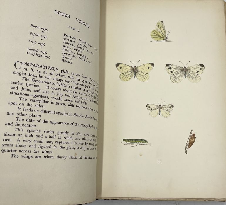 A collection of books on natural history including: British Wild Flowers by J.E. Sowerby pub. - Image 4 of 16